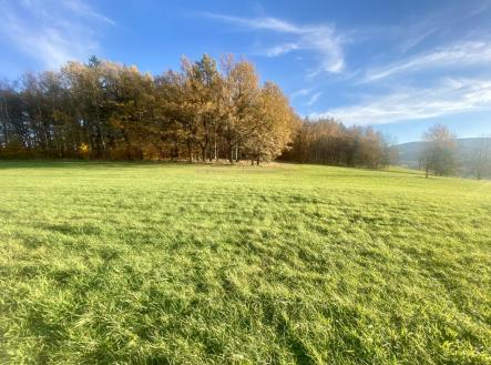 foto: 2 | Prodej - pozemek, trvalý travní porost, 33 698 m²