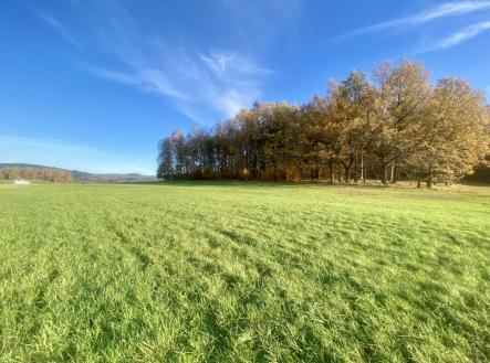 foto: 3 | Prodej - pozemek, trvalý travní porost, 33 698 m²