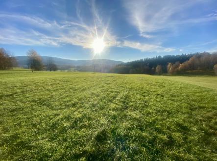 Prodej - pozemek, trvalý travní porost, 33 698 m²