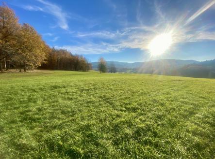 foto: 4 | Prodej - pozemek, trvalý travní porost, 33 698 m²