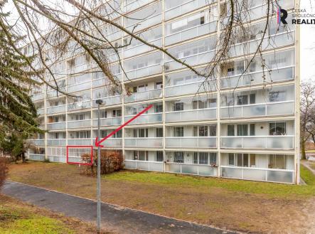 Pronájem bytu, 1+1, 46 m²