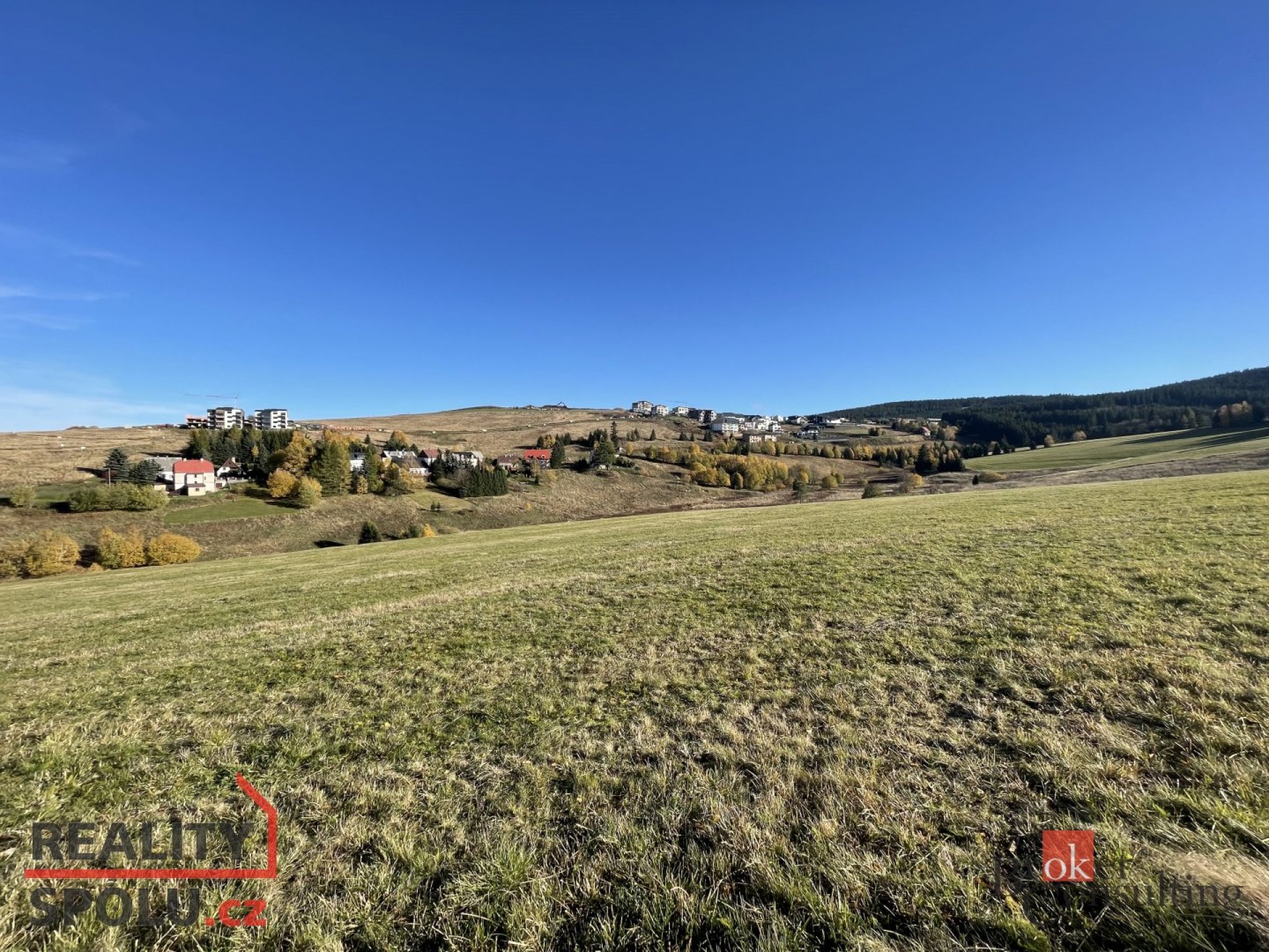 Prodej, domy/rodinný, 360 m2, Loučná 25, 43191 Loučná pod Klínovcem, Chomutov [ID 45219]