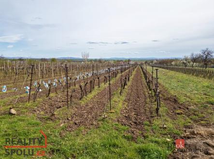 Prodej - pozemek, ostatní, 1 280 m²