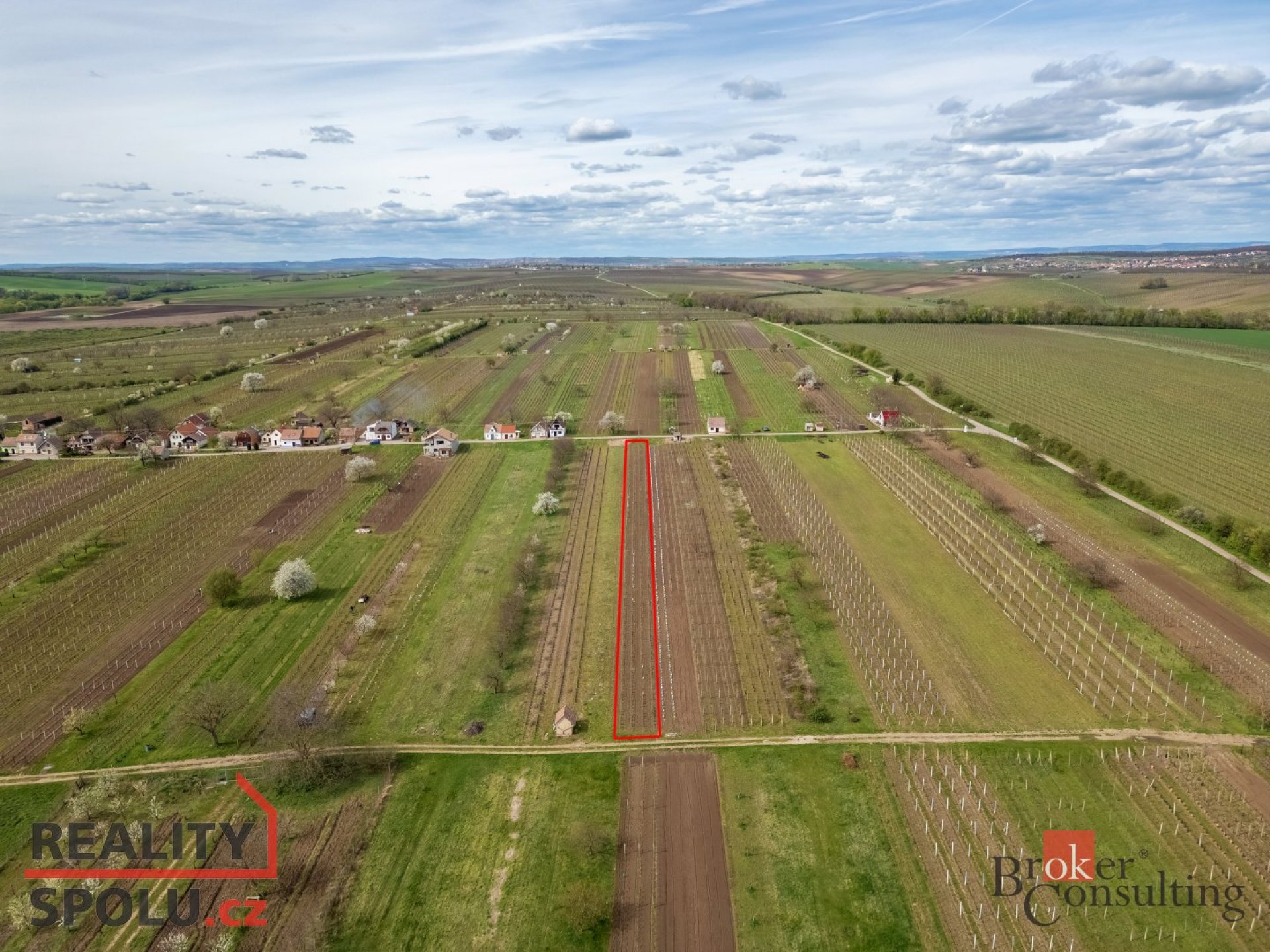 Prodej, pozemky/vinice/sady, 1280 m2, Nechory, Prušánky, Hodonín [ID 59240]