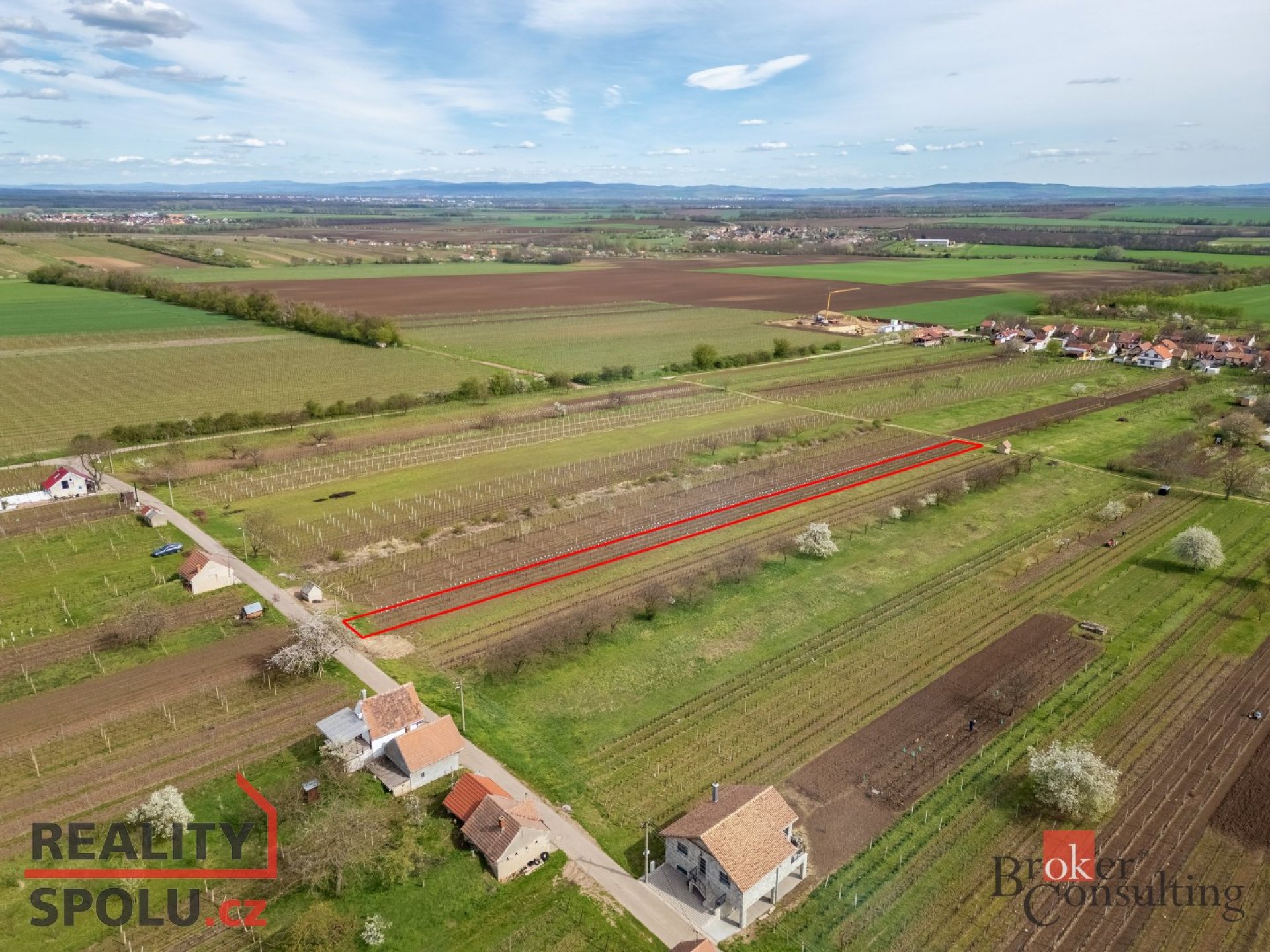 Prodej, pozemky/vinice/sady, 1280 m2, Nechory, Prušánky, Hodonín [ID 59240]