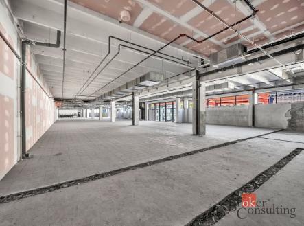 Pronájem - komerční objekt, jiný, 1 173 m²