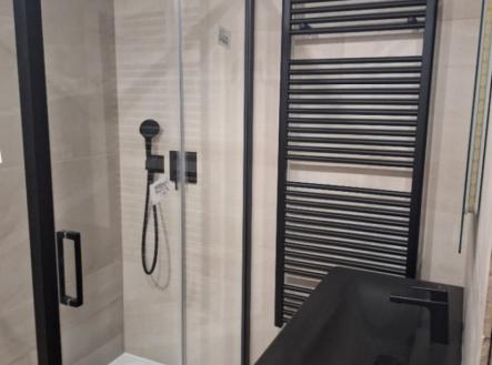 Prodej bytu, 1+kk, 65,14 m²