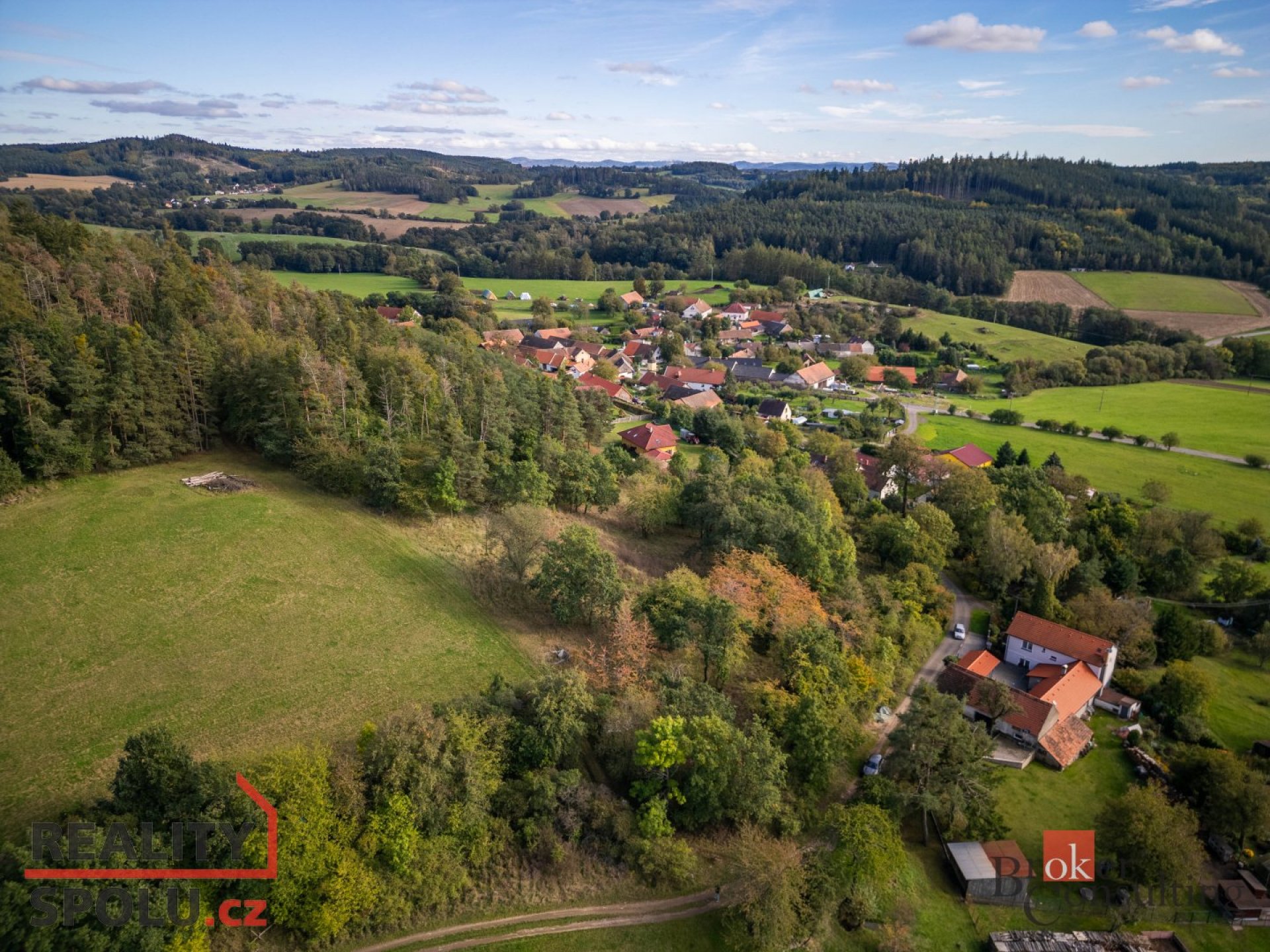 Prodej, pozemky/ostatní, 10165 m2, Vlkonice , Křečovice, Benešov [ID 64809]