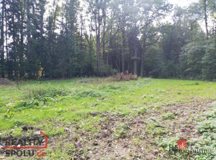 Prodej - pozemek, ostatní, 3 298 m²