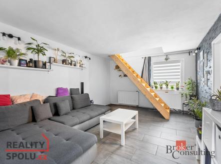 Prodej - dům/vila, 480 m²