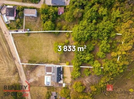 Prodej - pozemek pro bydlení, 3 833 m²
