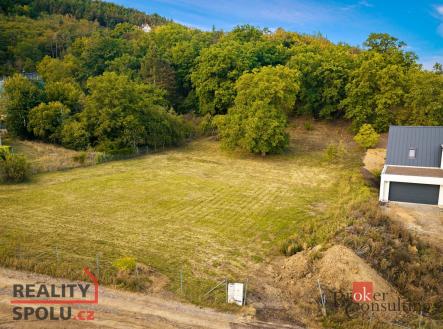 Prodej - pozemek pro bydlení, 3 833 m²