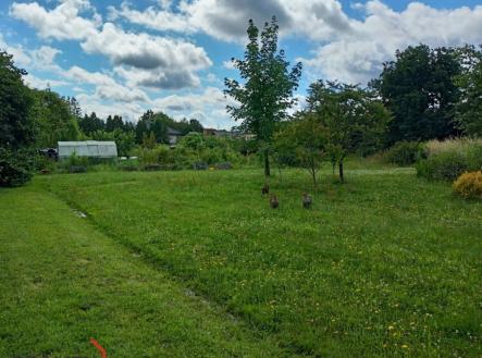 Prodej - pozemek pro bydlení, 2 418 m²