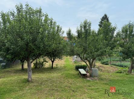Prodej - pozemek, zahrada, 874 m²