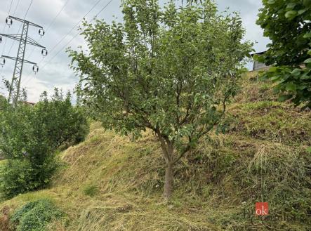 Prodej - pozemek, zahrada, 874 m²