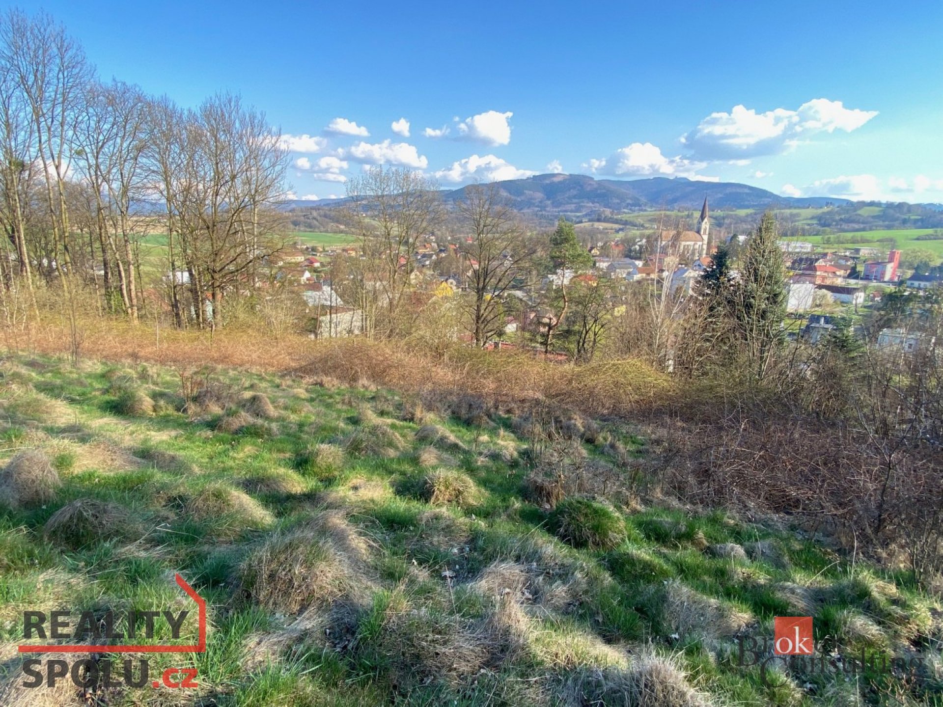 Prodej, pozemky/bydlení, 9446 m2, Janovice, Frýdek-Místek [ID 68332]