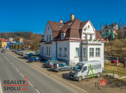 Prodej - dům/vila, 719 m²