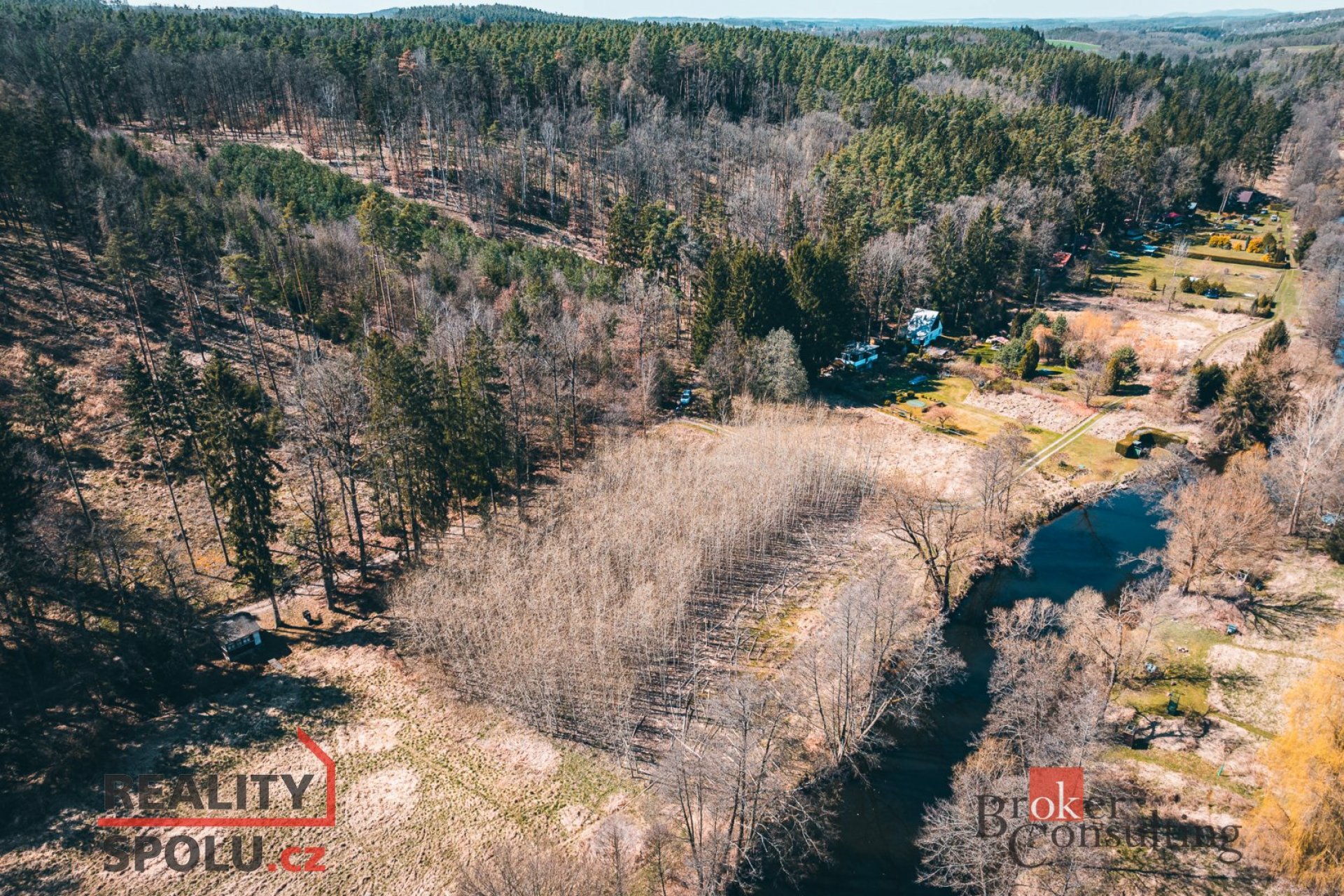 Prodej, pozemky/les, 4109 m2, Plešnice, Plzeň-sever [ID 70657]
