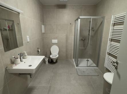 Pronájem bytu, 1+kk, 32 m²