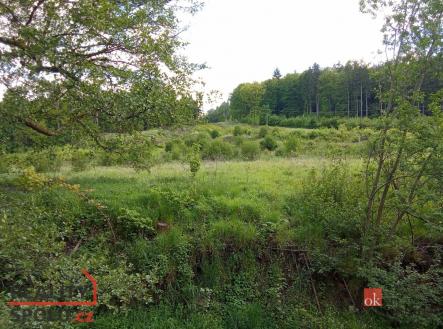 Prodej - pozemek pro bydlení, 22 894 m²