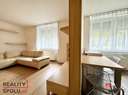 Pronájem bytu, 1+1, 45 m²