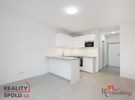 Pronájem bytu, 1+kk, 30 m²