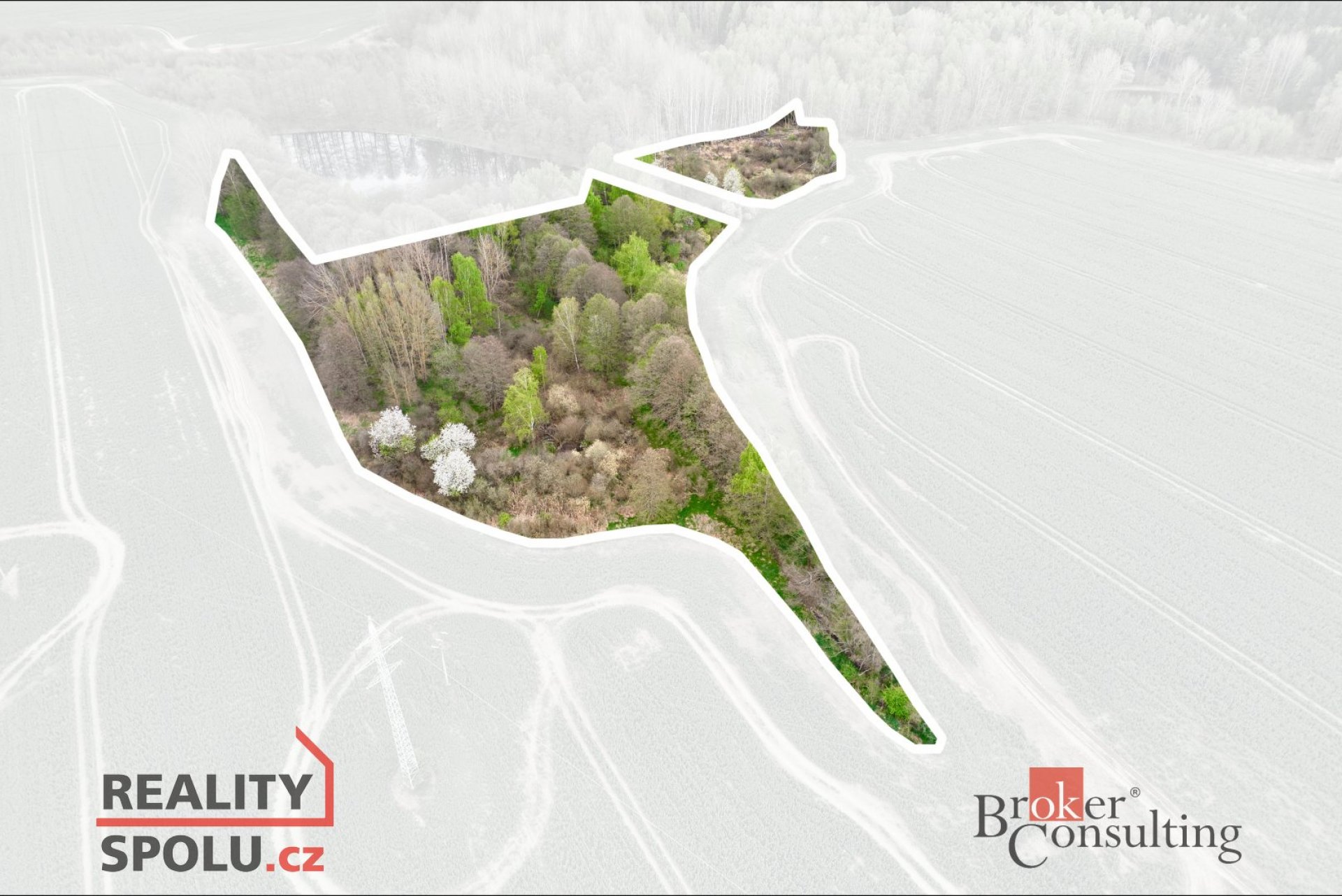 Prodej, pozemky/vinice/sady, 17330 m2, Hřebeny, Josefov, Sokolov [ID 70782]