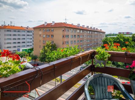 Pronájem bytu, 3+1, 70 m²