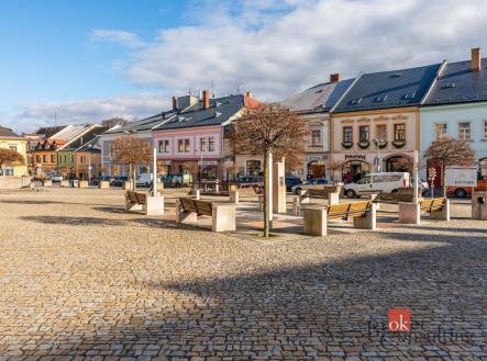 Prodej - dům/vila, 700 m²