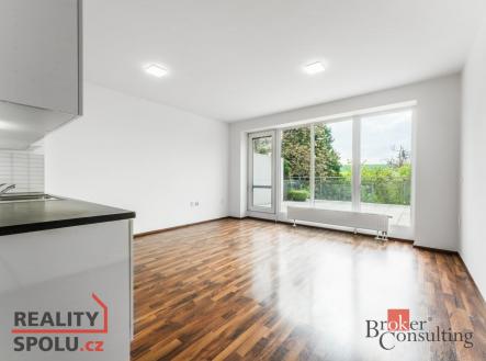 Pronájem bytu, 1+kk, 56 m²