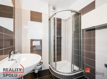 Pronájem bytu, 1+kk, 56 m²