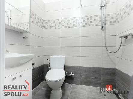 Pronájem bytu, 2+kk, 42,3 m²