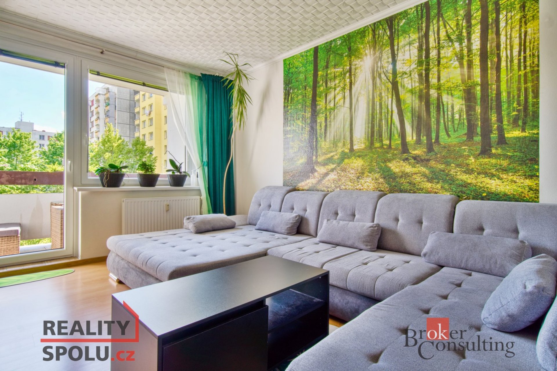 Prodej, byty/4+1, 78 m2, Na Pěníku 428, 39701 Písek, Písek [ID 71712]