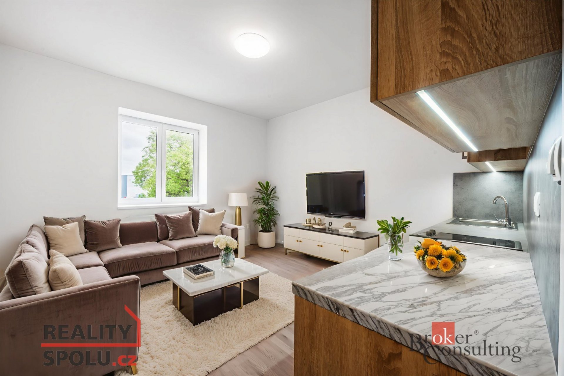 Prodej, byty/1+kk, 23 m2, Palackého 918/70, 70200 Ostrava, Ostrava-město [ID 72178]