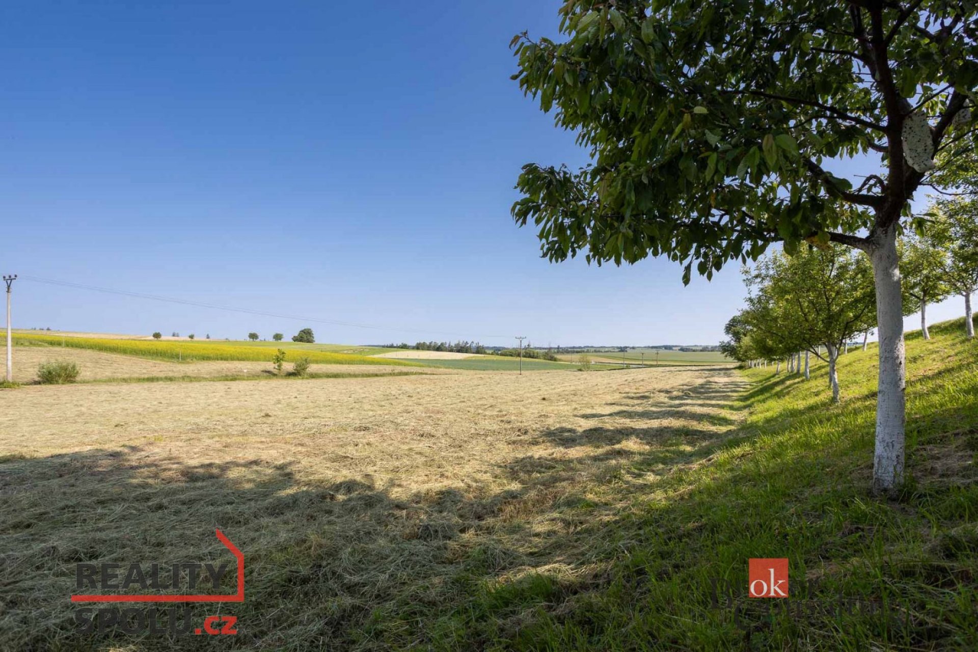 Prodej, pozemky/bydlení, 3221 m2, Olešenka , Havlíčkův Brod [ID 72340]