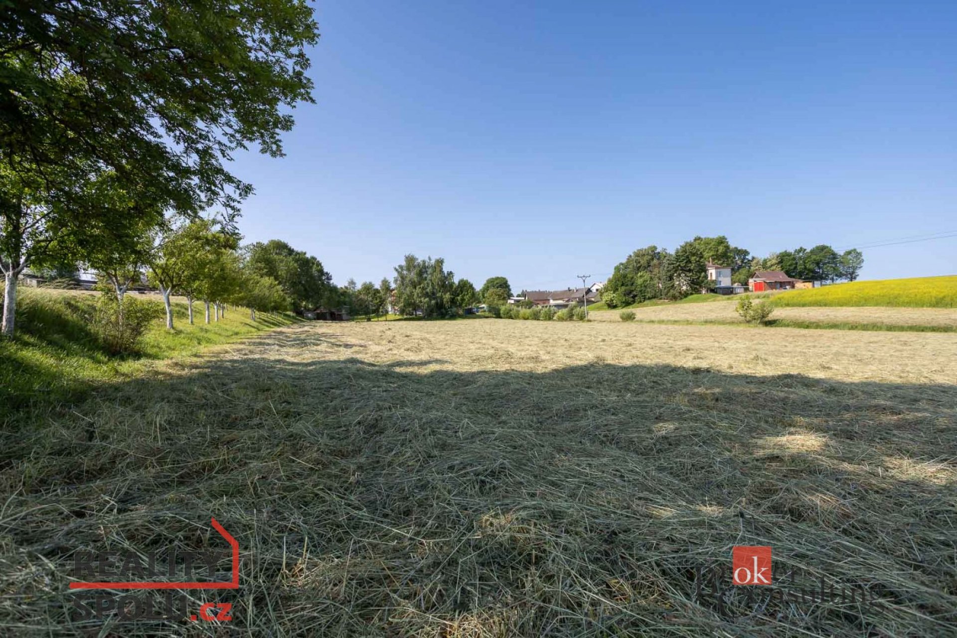 Prodej, pozemky/bydlení, 3221 m2, Olešenka , Havlíčkův Brod [ID 72340]