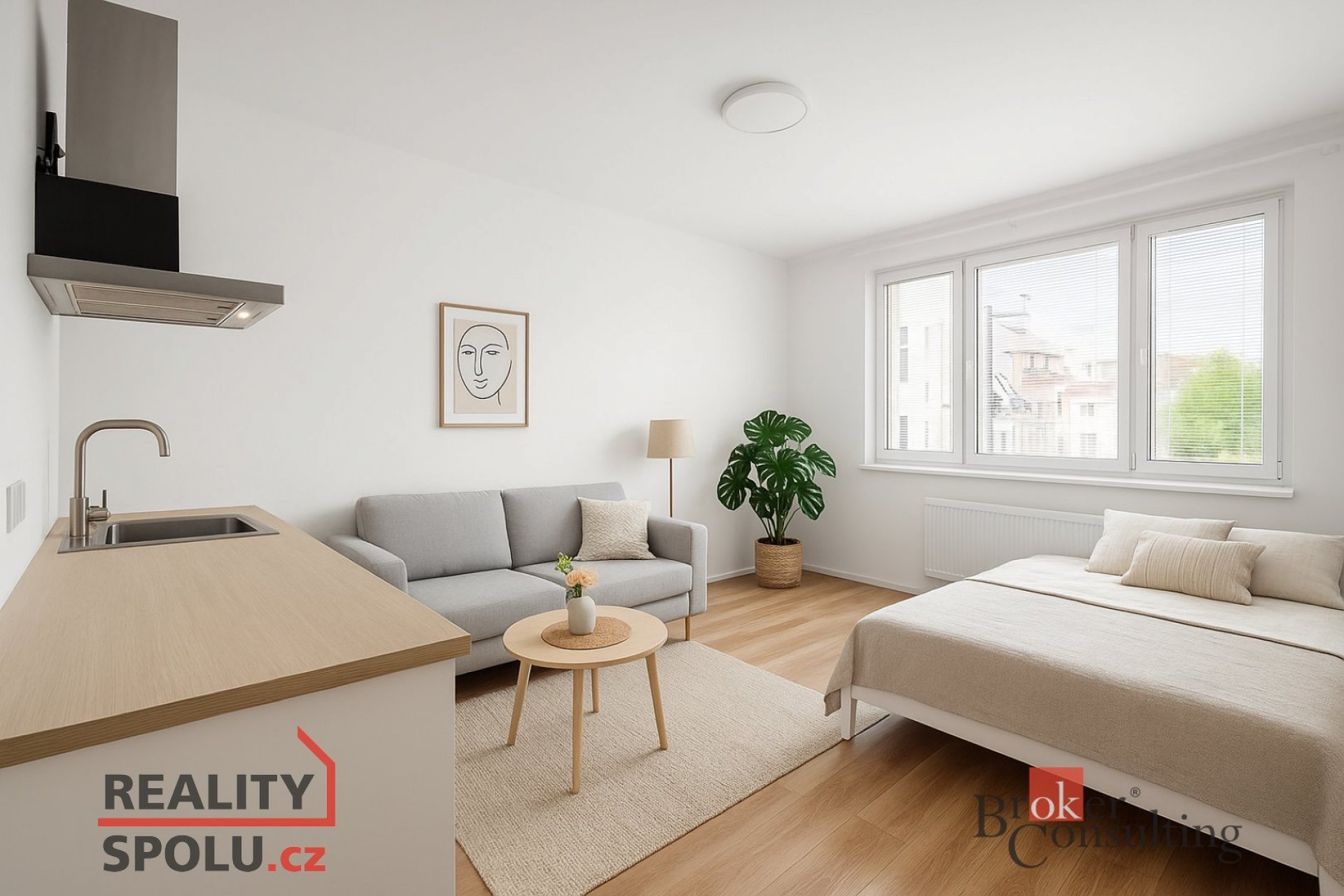 Prodej, byty/1+kk, 35 m2, Vranovská, Zábrdovice, Brno-sever [ID 72837]