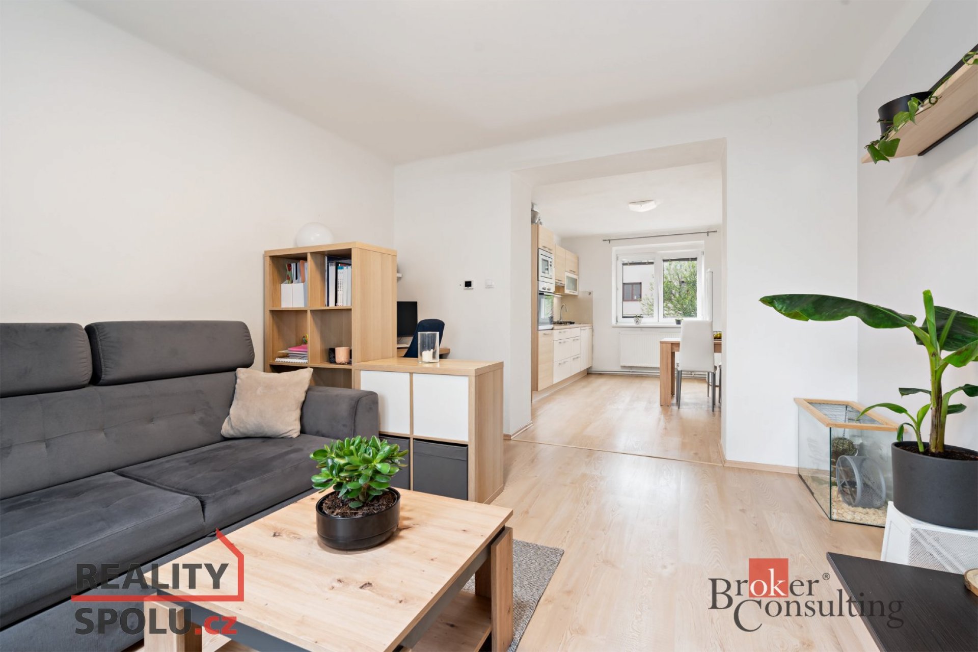 Prodej, byty/2+1, 48 m2, Klášterní 941/19, Východní Předměstí, 32600 Plzeň 2-Slovany [ID 72778]