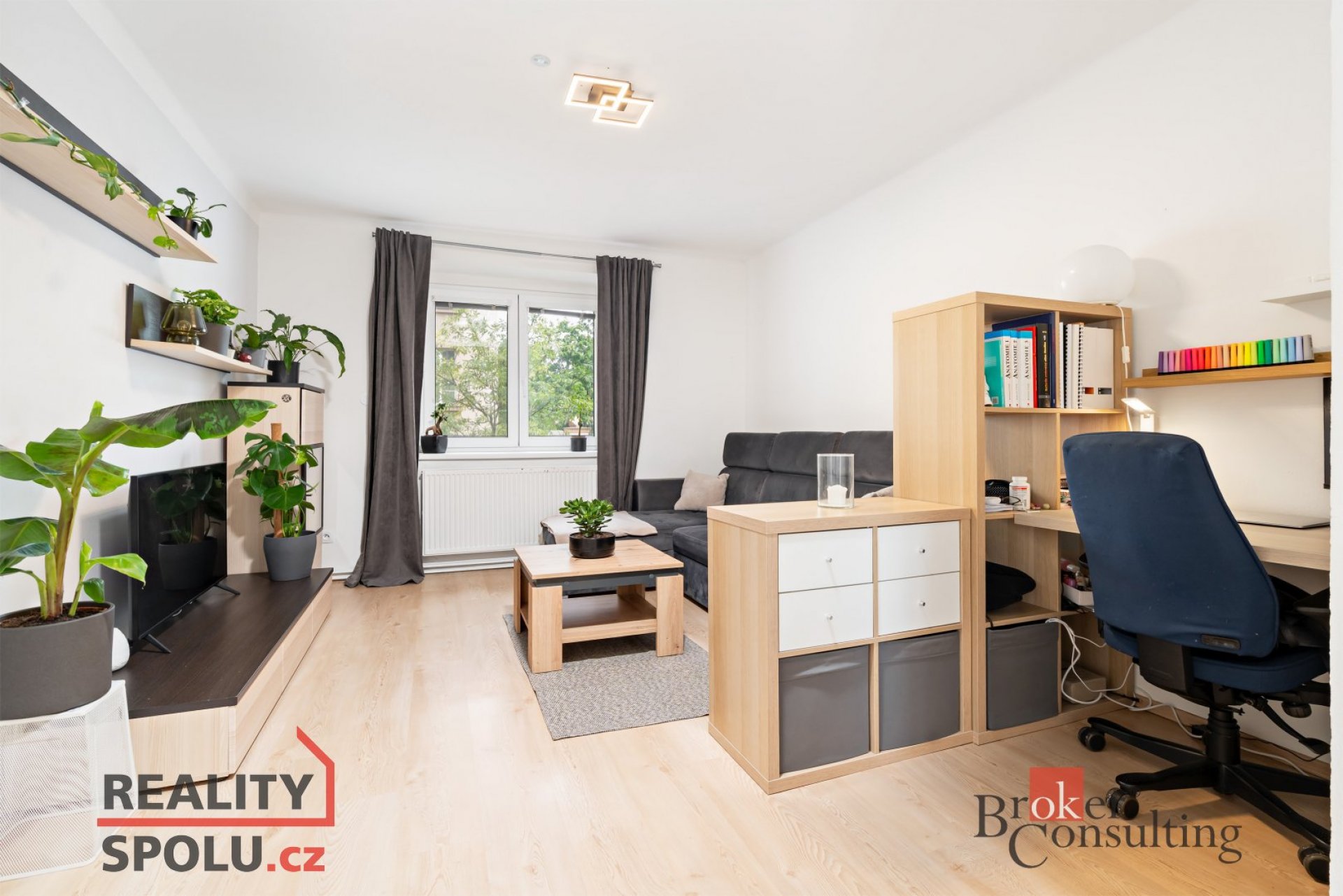 Prodej, byty/2+1, 48 m2, Klášterní 941/19, Východní Předměstí, 32600 Plzeň 2-Slovany [ID 72778]