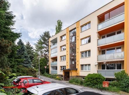 Pronájem bytu, 3+1, 72 m²