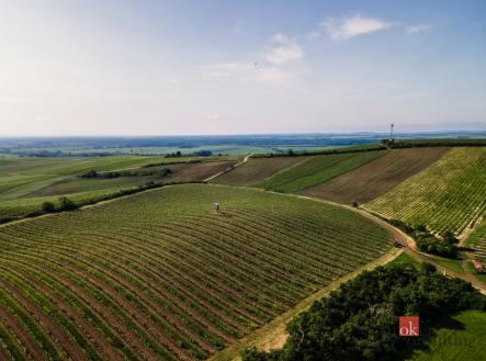 Prodej - pozemek, ostatní, 256 256 m²