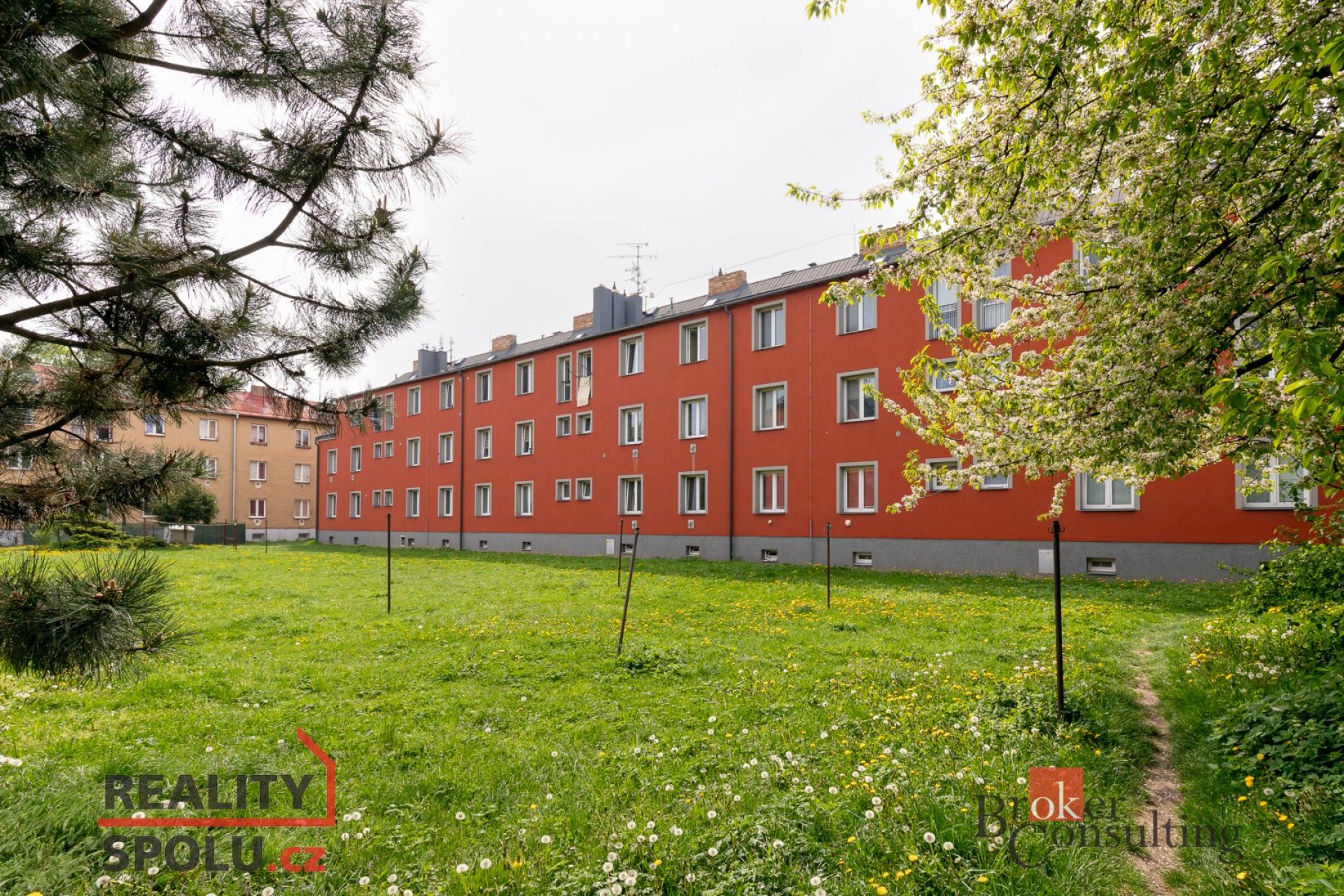 Pronájem, byty/1+1, 32.8 m2, Těšínská 1745/67, Předměstí, 74601 Opava (nečleněná část města) [ID 728