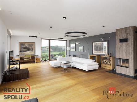 Prodej - dům/vila, 282 m²