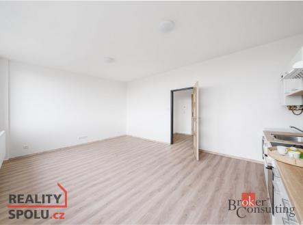 Pronájem bytu, 1+kk, 47 m²