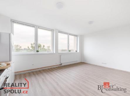 Pronájem bytu, 1+kk, 47 m²