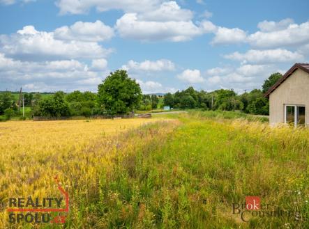 Prodej - pozemek pro bydlení, 1 488 m²