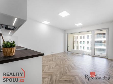Pronájem bytu, 1+kk, 48 m²