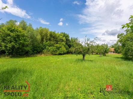 Prodej - pozemek pro bydlení, 3 106 m²