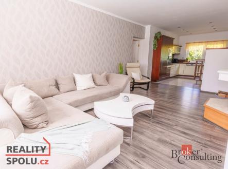 Pronájem - dům/vila, 368 m²