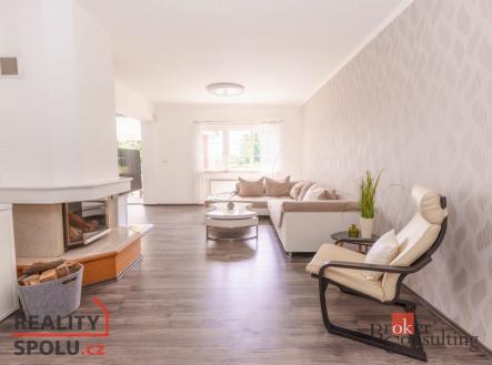 Pronájem - dům/vila, 368 m²